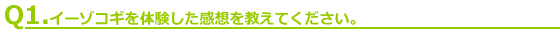 Q1.イーゾコギを体験した感想を教えてください。