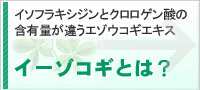 イソフラキシジンとクロロゲン酸の含有量が違うエソウコギエキスイーゾコギとは？